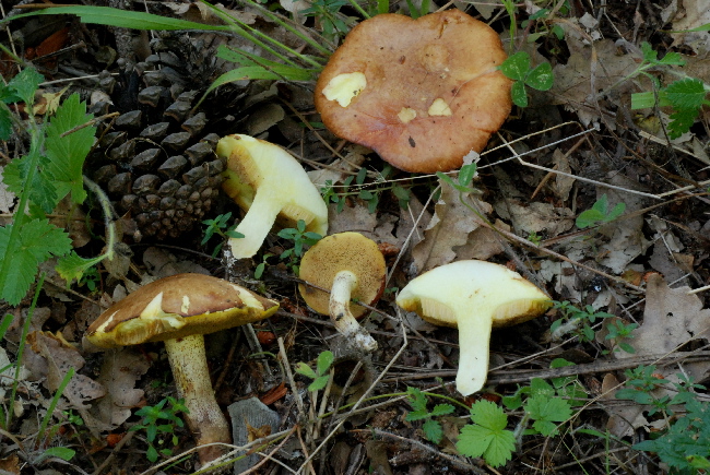 Uscita del 18 Cima di Tuoro (PG)